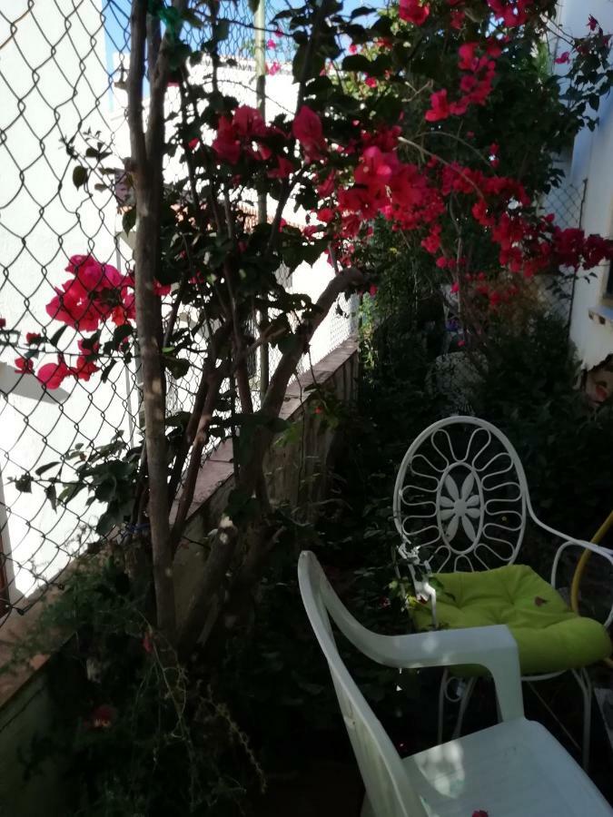 Can Pau Guesthouse يانكا المظهر الخارجي الصورة
